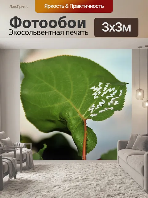 Фотообои ошибка едят узор на листе