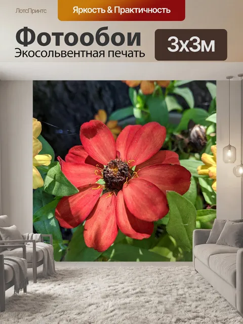Фотообои Красный цветок