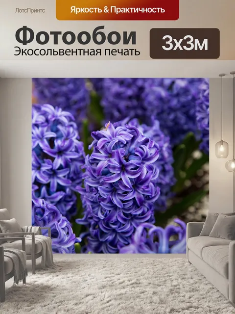 Фотообои гиацинт Цветы
