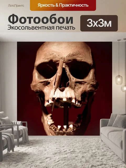 Фотообои Череп