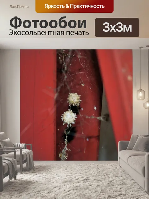 Фотообои Кнопка паук яйцо пучок