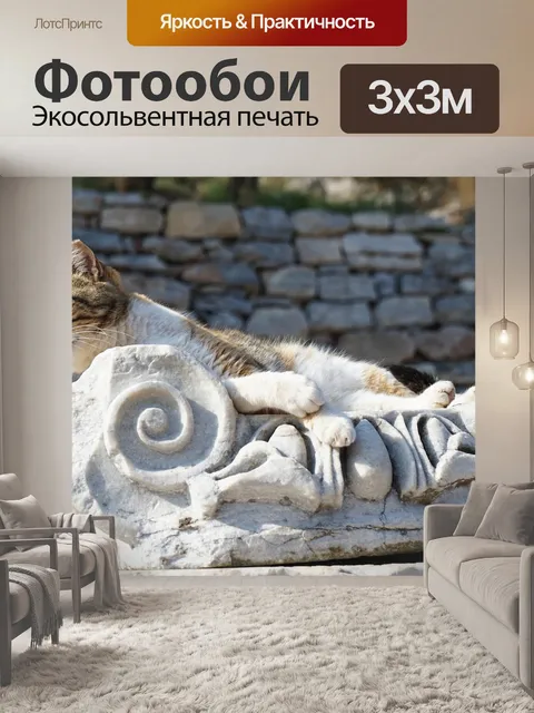 Фотообои Кошка