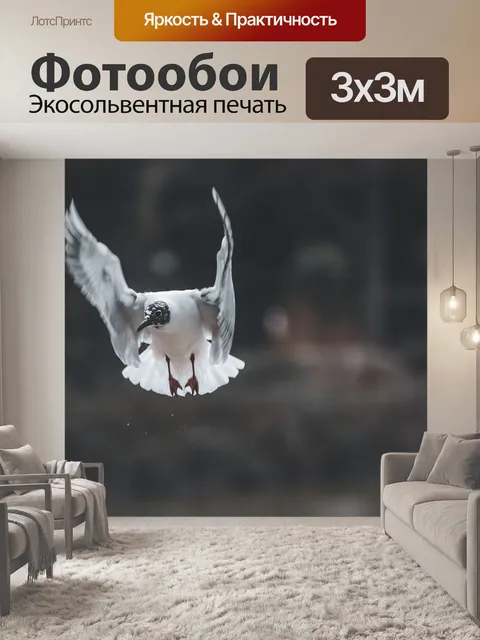 Фотообои Чайка