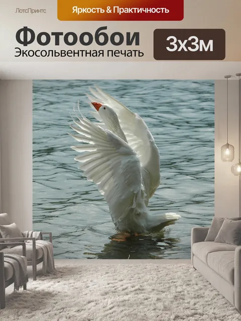 Фотообои Гусь