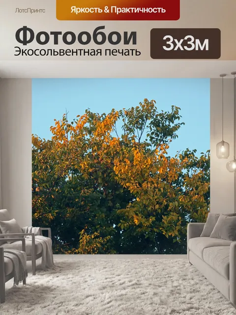 Фотообои вершина дерева с желтыми листьями