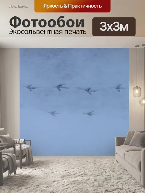 Фотообои Птица треки