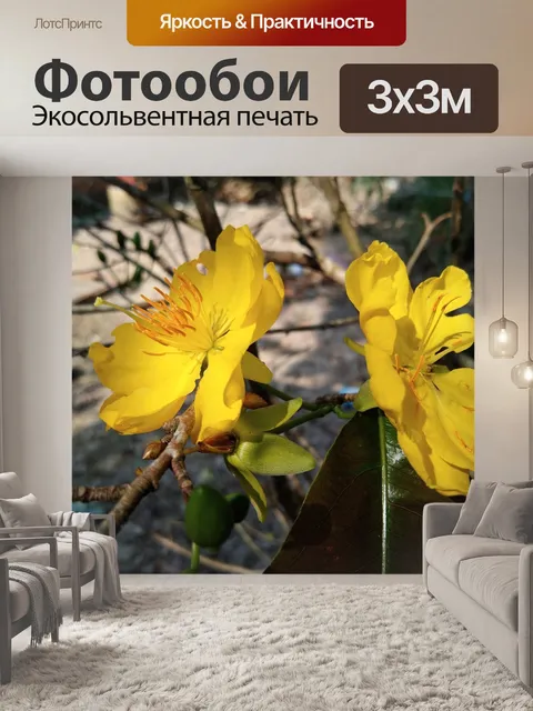 Фотообои Желтый цветок абрикоса