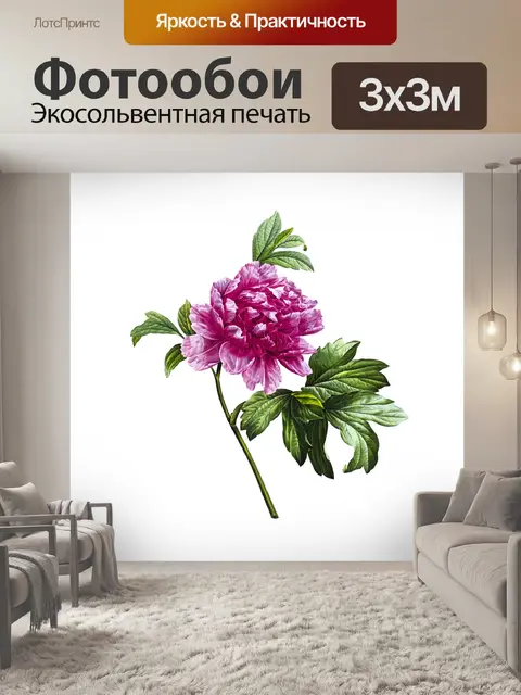 Фотообои Пион Цветок Vintage Art