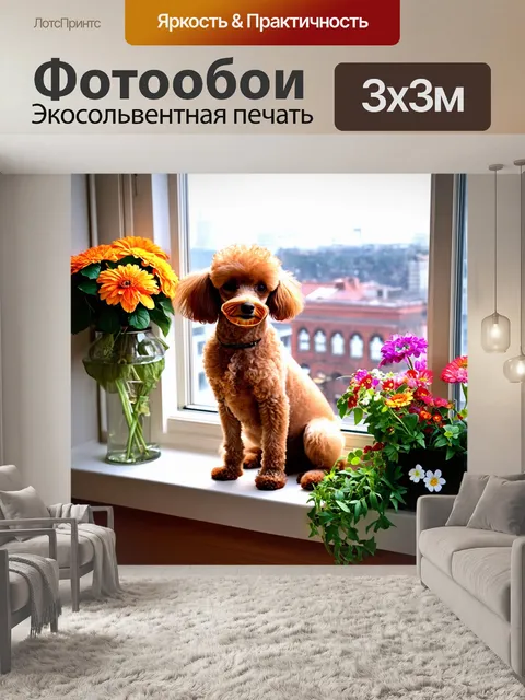 Фотообои пудель, сидящий на подоконнике с видом на город, вокруг него цветы и уютный интерьер