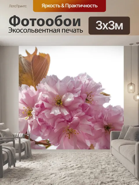 Фотообои Розовый цвет цветы на ветке