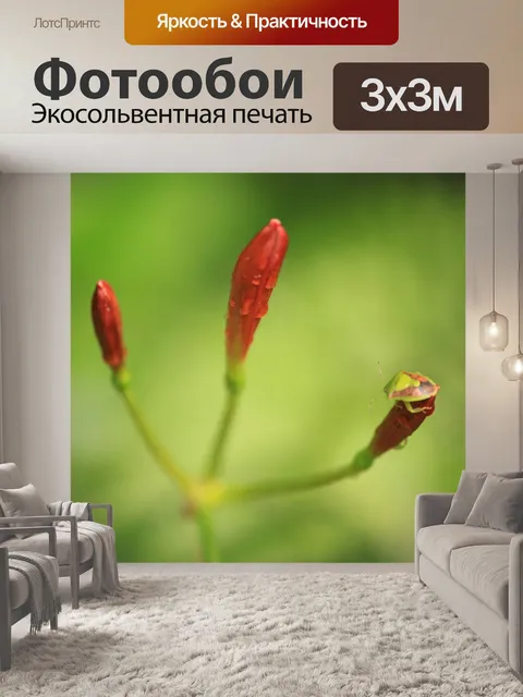 Фотообои Насекомое