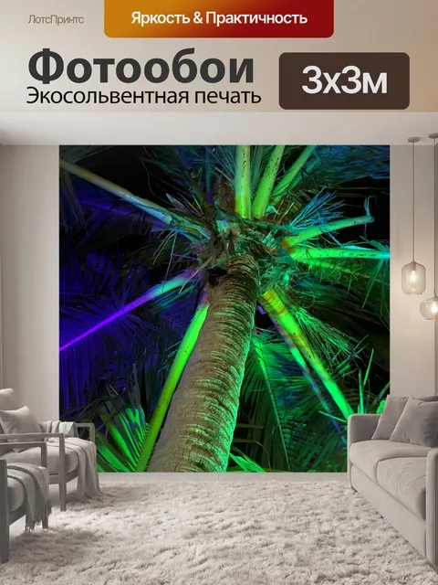 Фотообои Пальма