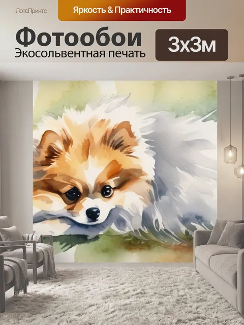 Фотообои собака шпиц