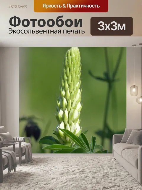 Фотообои Люпин