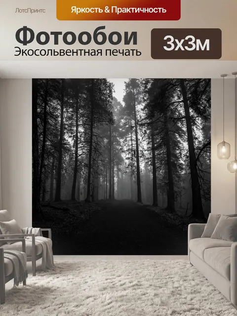 фотообои лес в стиле нуар: узкие тропинки