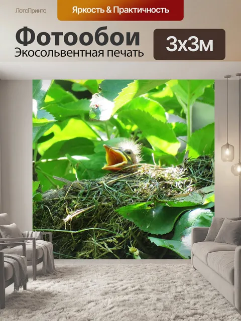 Фотообои Черный дрозд