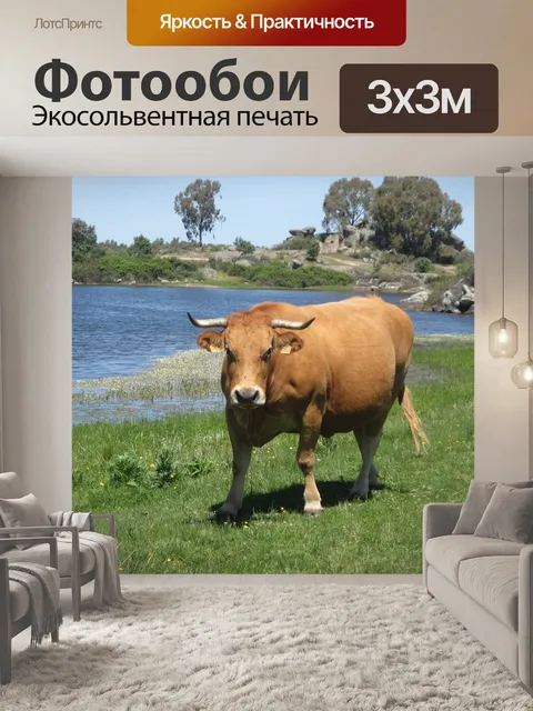 Фотообои Коричневая корова