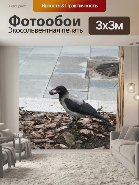 Фотообои Птица