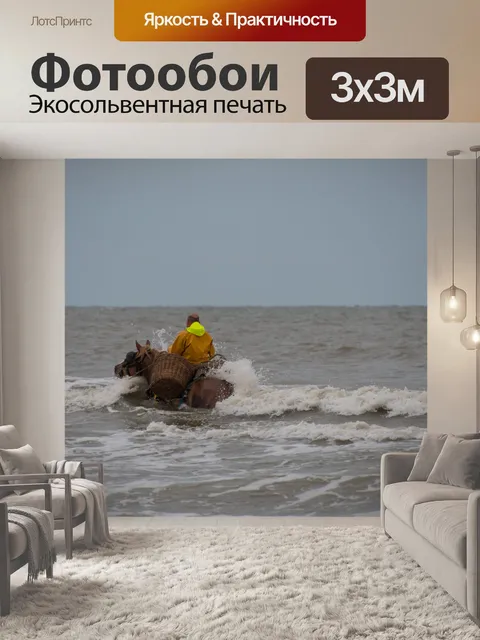 Фотообои Лошадь, креветочный рыбак, море