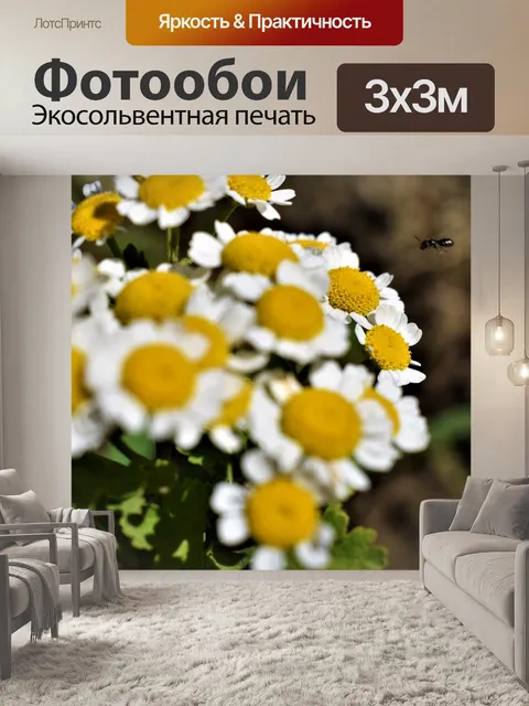 Фотообои Цветок