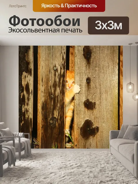 Фотообои Кот