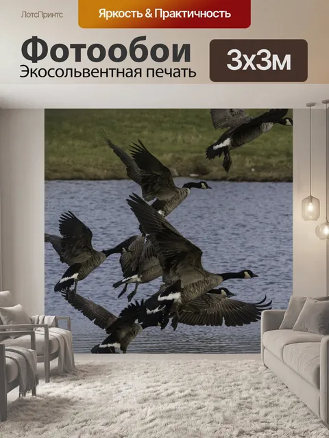 Фотообои Стая гусей Взлет