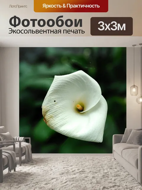 Фотообои Цветок