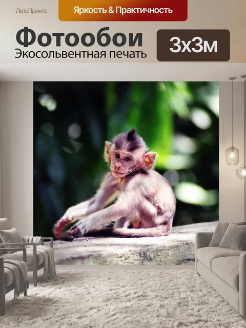 Фотообои Задумчивый