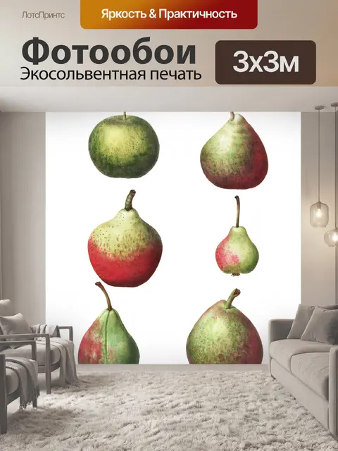 Фотообои Фрукты груши Винтаж клипарт