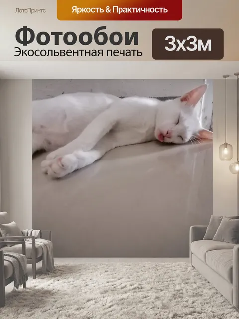 Фотообои Просто сплю