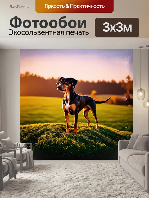 Фотообои описание: собака-гончая, величественно стоящая на вершине зеленого холма, окруженная широкими полями