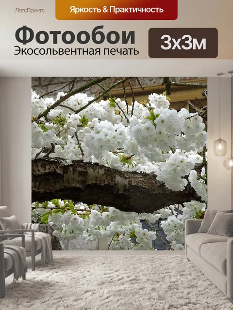Фотообои Белое цветущее вишневое дерево