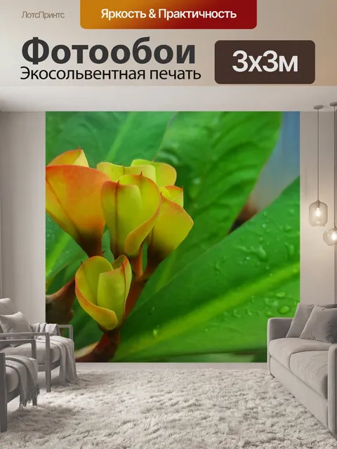 Фотообои Цветок