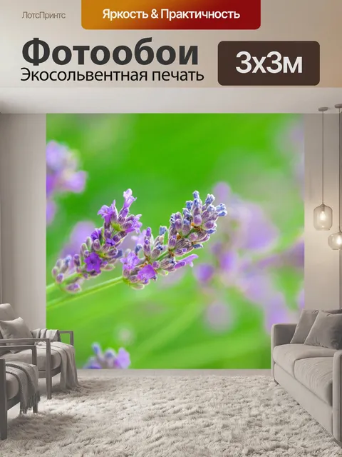 Фотообои цветущая лаванда