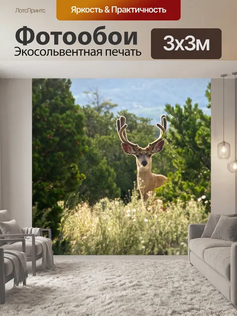 Фотообои Бак с Антлерс лесу
