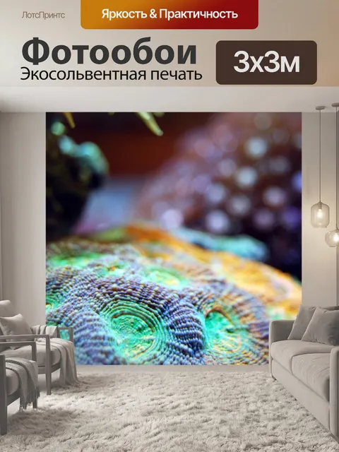 Фотообои Коралл