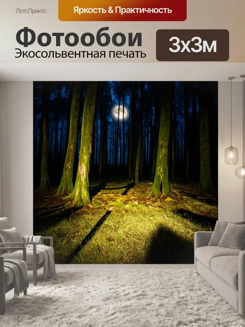 Фотообои глубокий лес, усыпанный мягким светом луны, где тени деревьев танцуют на земле