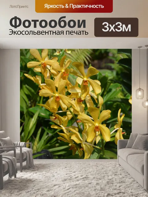 Фотообои Цветок