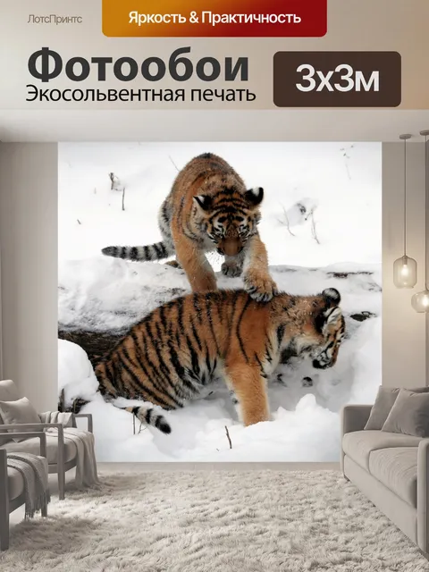 Фотообои Тигры