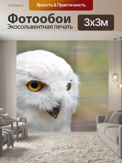 Фотообои Снежная сова