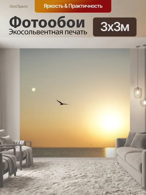 Фотообои Чайка