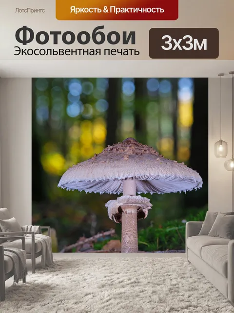Фотообои Гриб