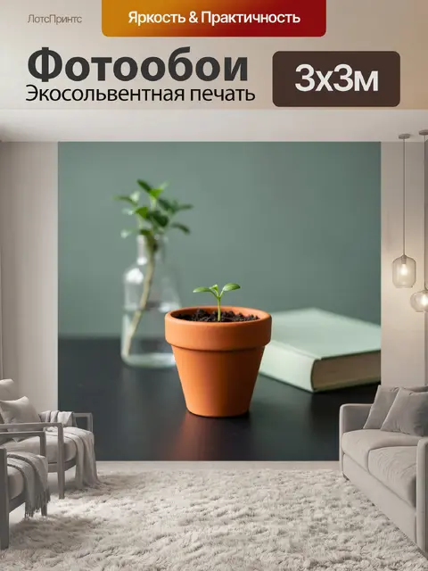 Фотообои Молодой росток в глиняном горшке