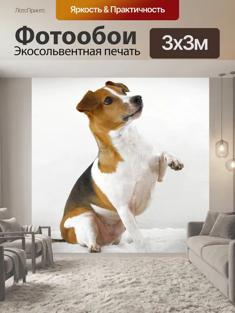 Фотообои Собака