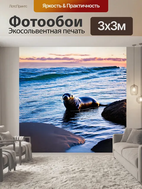Фотообои тюлень, покоящийся на скале, окруженной мерцающей синей водой, отражающей вечернее солнце