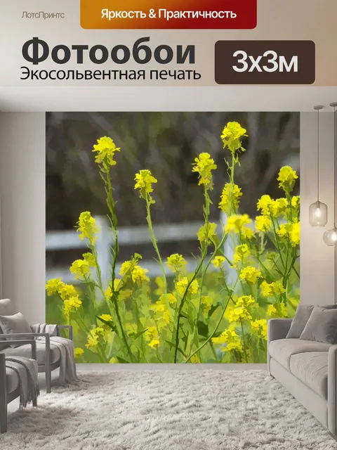 Фотообои Цветы горчицы
