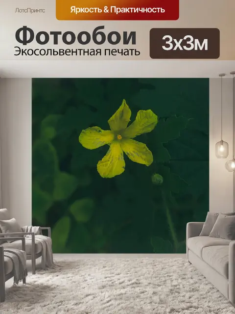 Фотообои Цветок