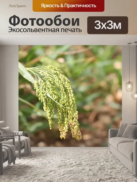 Фотообои Трава
