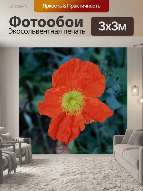 Фотообои Цветы