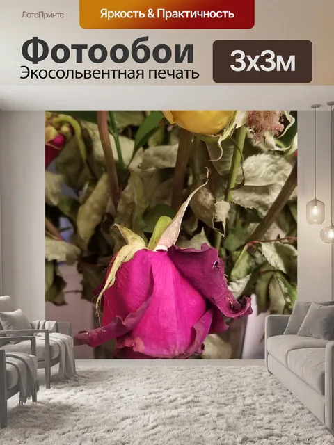 Фотообои Мертвые розы